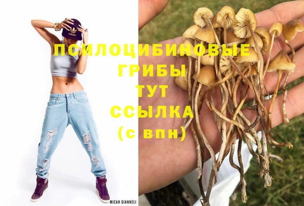 мдпв Арсеньев
